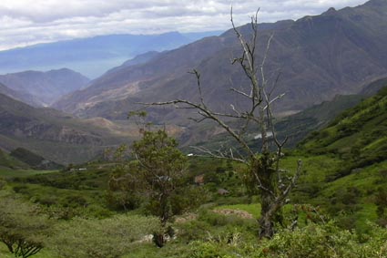 Farmaceuticos en Accion Ecuador Paisaje2