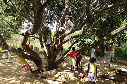 Farmaceuticos en Accion Mozambique Nampula Niños Jugando Arbol